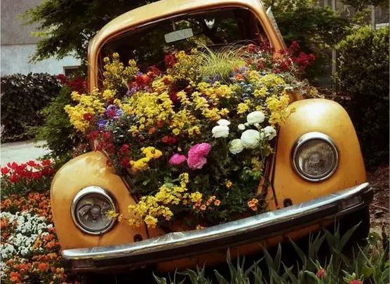 Клумба у старому авто