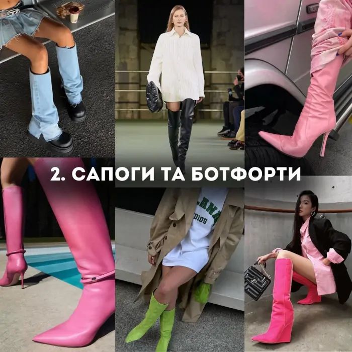 Чоботи та ботфорти