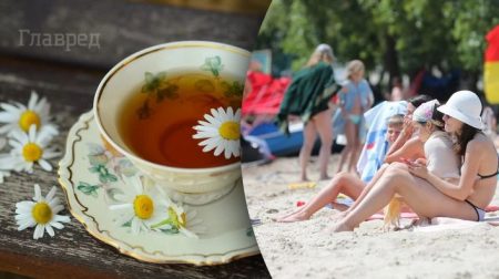 гарячий чай в жарку пору