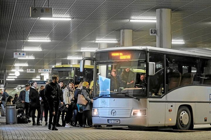 міжнародні автобусні рейси